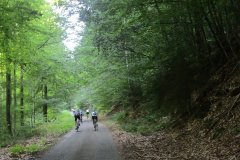 10h04 - Dans la rude côte...le peloton s'étire (Gérard C, Reynald, Alain Orditz, Rémi  Helfenstein