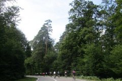 15h51 - Retour vers la Petite Pierre....dans la dernière montée...la file s'étire (km110)